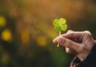How luck plays the biggest role in Wealth Acquisition
