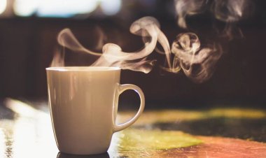 Endless Pleasure From A Single Cup Of Coffee