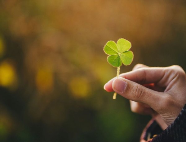 11 Cool Investments For This Year